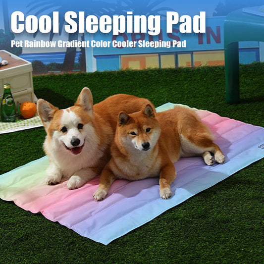 Summer Dog Cooling Mat (Suitable for dogs up to 30 pounds)