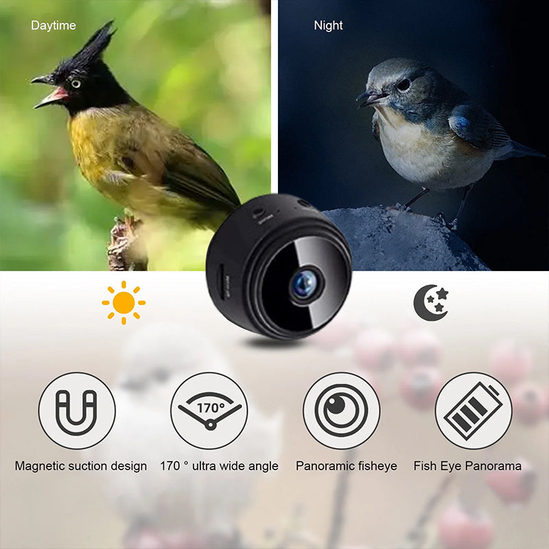 Smart Bird Feeder With Camera