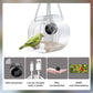 Smart Bird Feeder With Camera