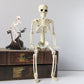 Funny Animatronic Skeleton(Buy 2 Free Shipping)