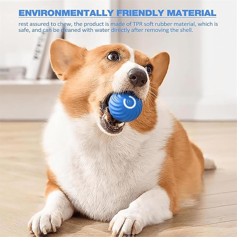 Dog Toy Ball