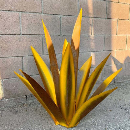 Planta de hierro de agave 