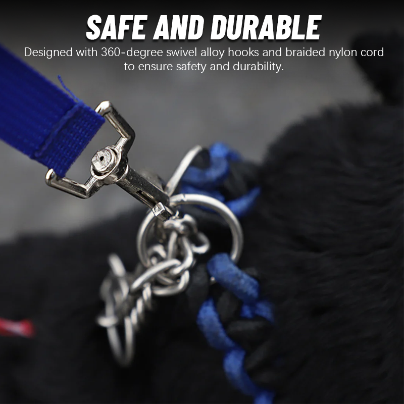 Multifunctional Pet Leash