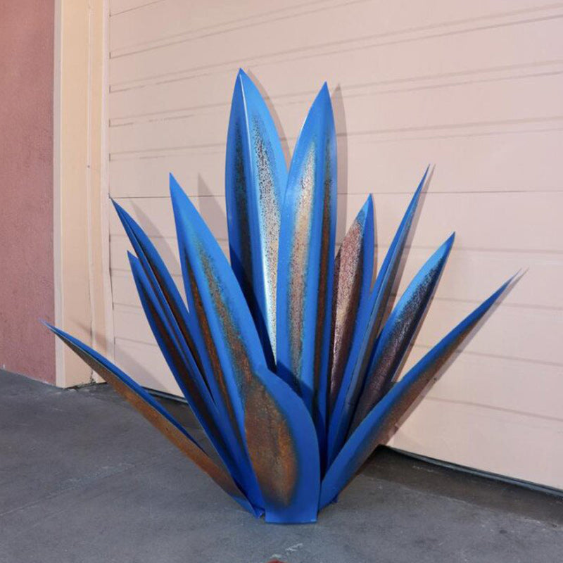 Planta de hierro de agave 