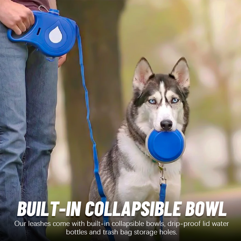 Multifunctional Pet Leash