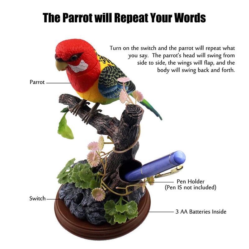 Learn To Talk Like A Parrot