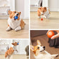 Dog Toy Ball