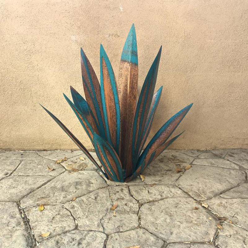 Planta de hierro de agave 