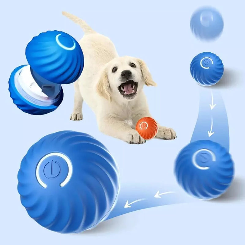 Dog Toy Ball