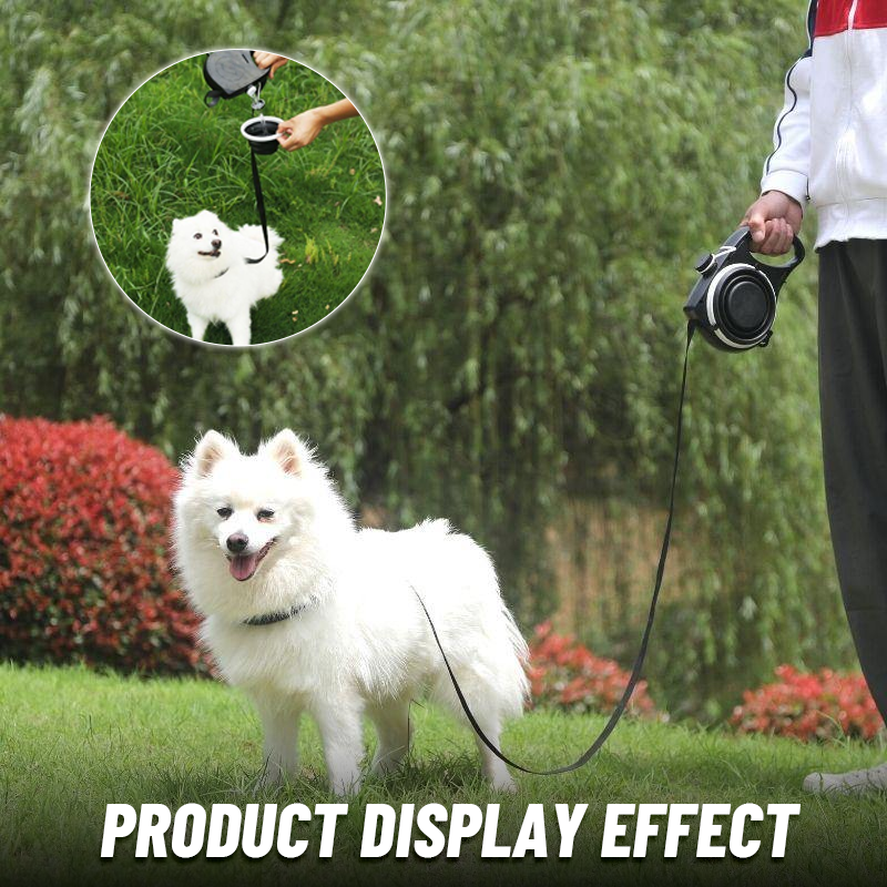 Multifunctional Pet Leash