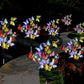 🔥Luces solares de mariposa para exteriores 