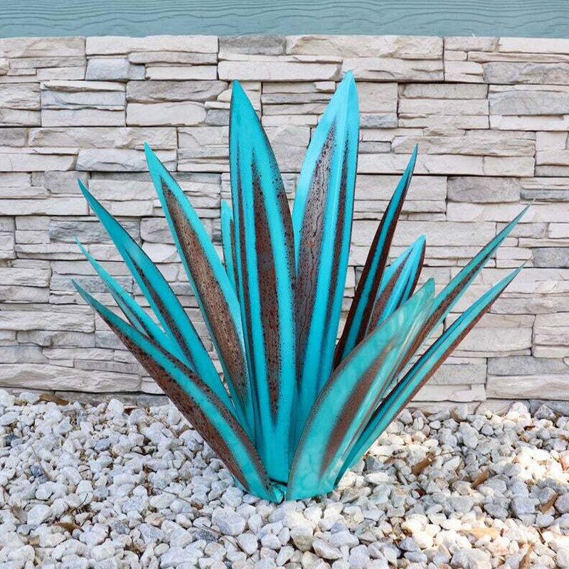 Agave Iron Plant